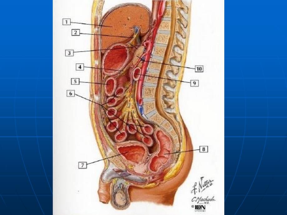 急性化脓性腹膜炎教研室_第4页