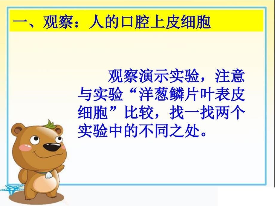 苏教版初中生物七上第2单元第三章第二节《人和动物细胞的结构和功能》课件_第5页