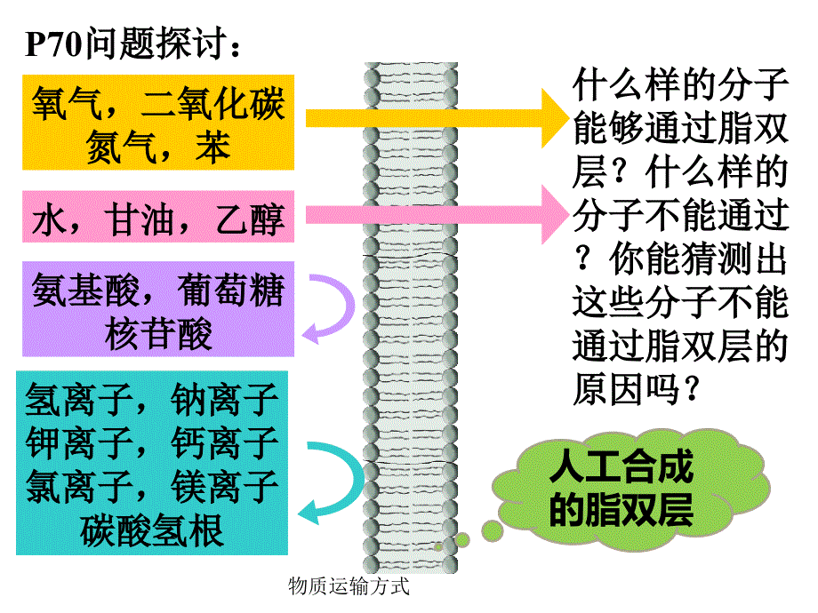 物质运输方式课件_第2页