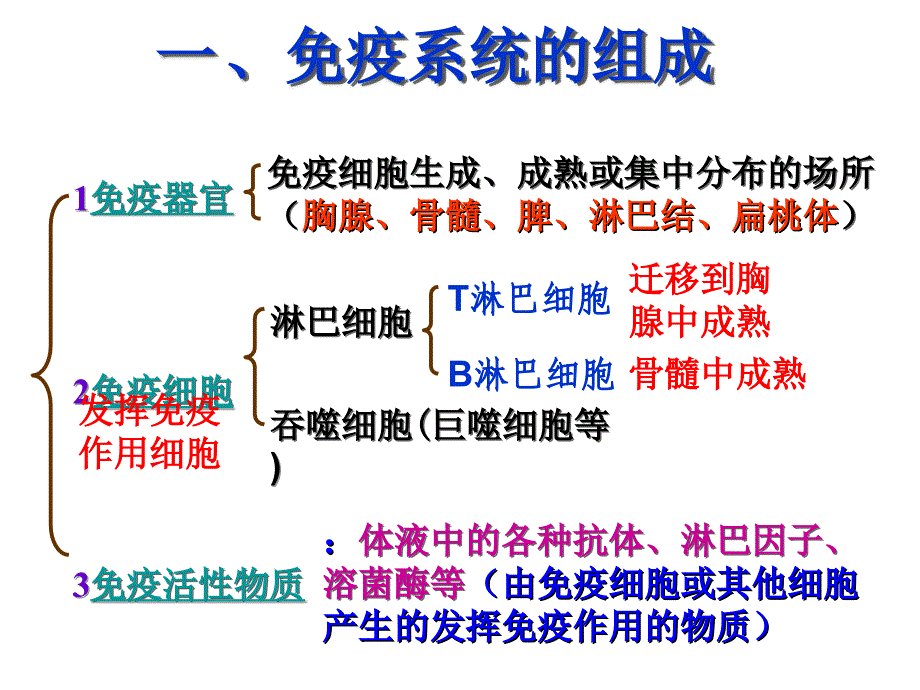 (医学课件)特异性反应PPT演示课件_第2页