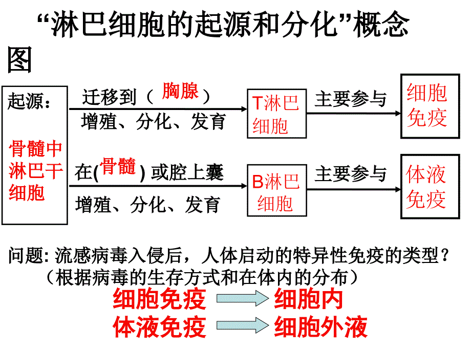 (医学课件)特异性反应PPT演示课件_第4页