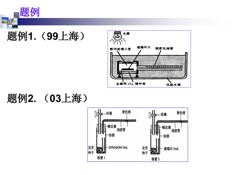 光合作用与呼吸作用的测定_第2页