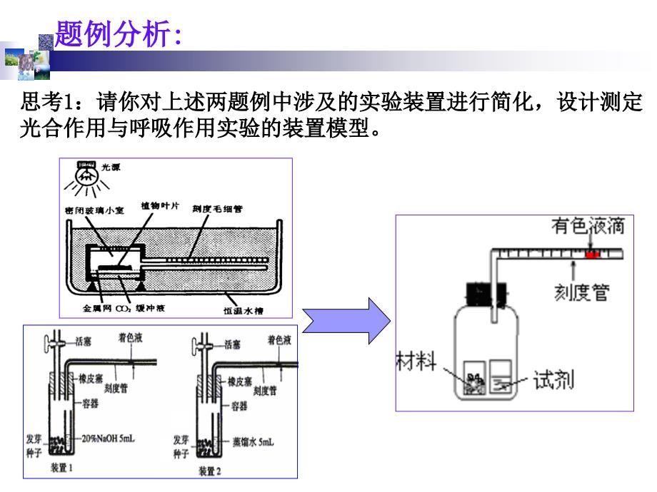 光合作用与呼吸作用的测定_第3页