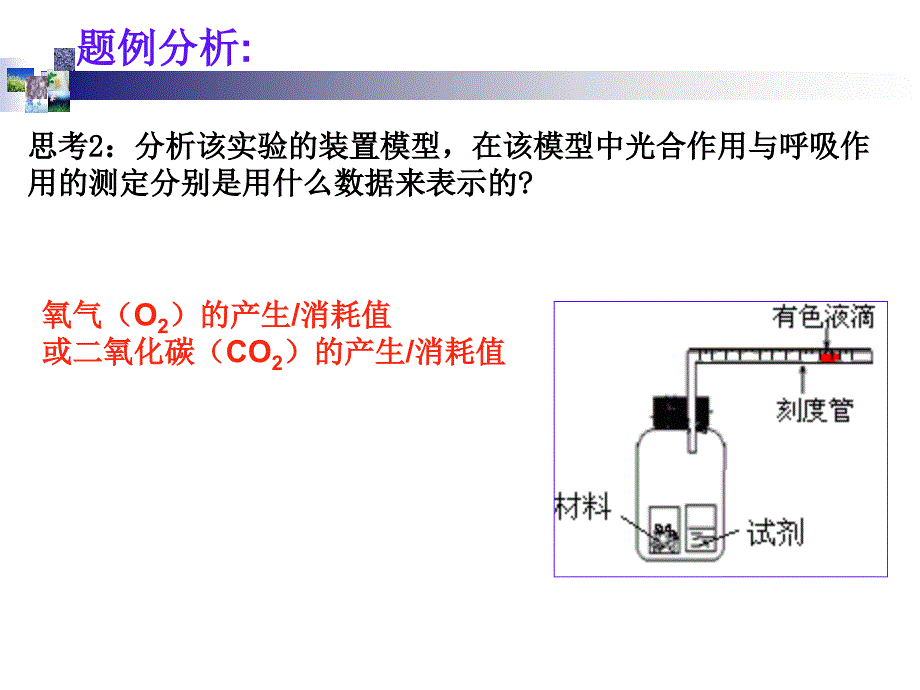 光合作用与呼吸作用的测定_第4页