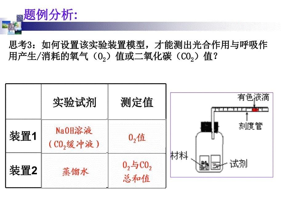 光合作用与呼吸作用的测定_第5页