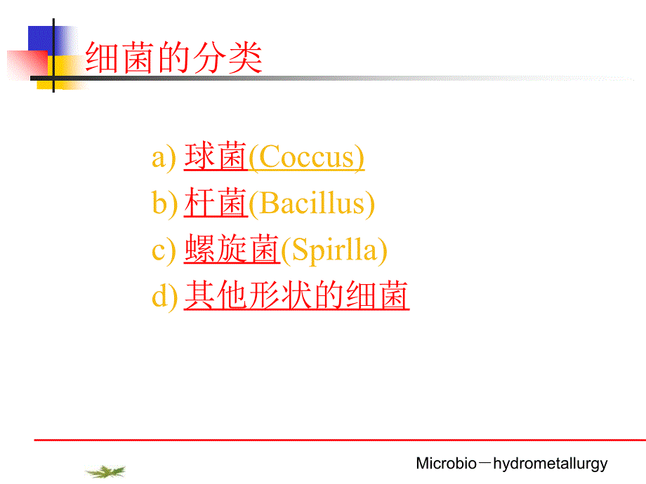 浸矿用细菌PPT课件_第3页