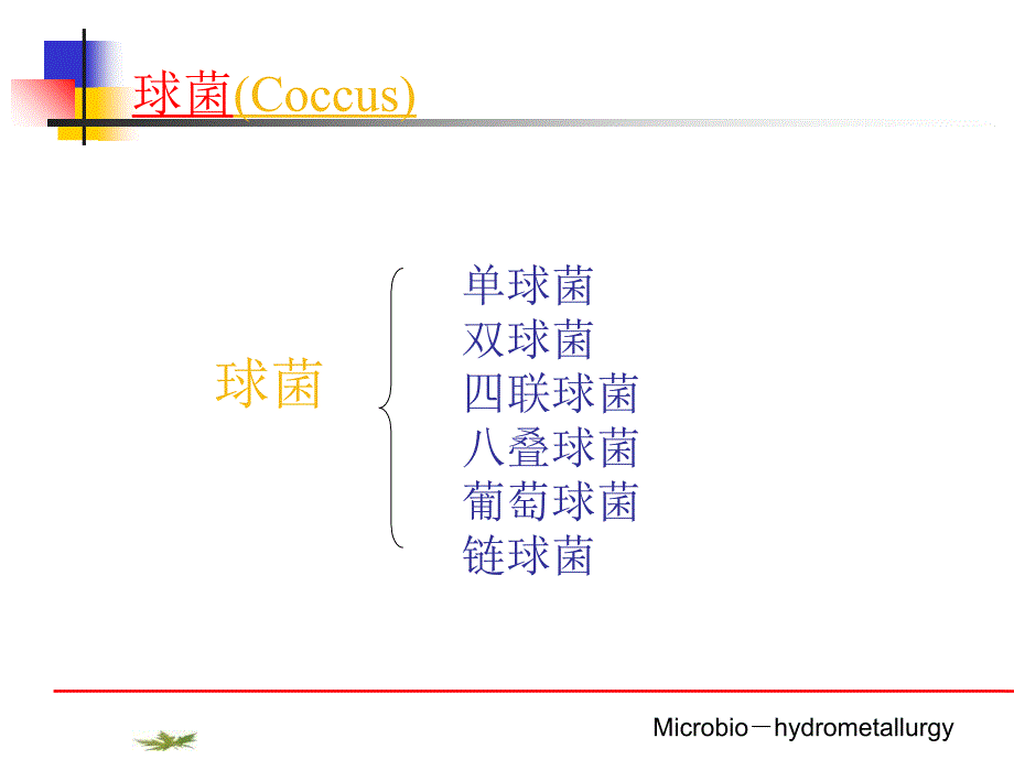 浸矿用细菌PPT课件_第4页