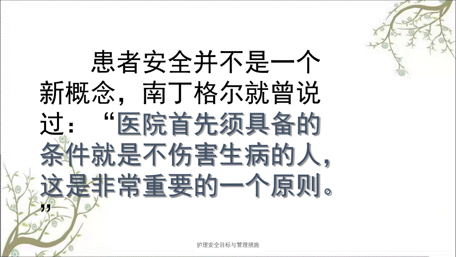 护理安全目标与管理措施PPT课件_第3页