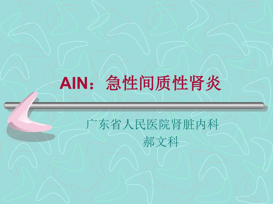 AIN急性间质性肾炎_第1页