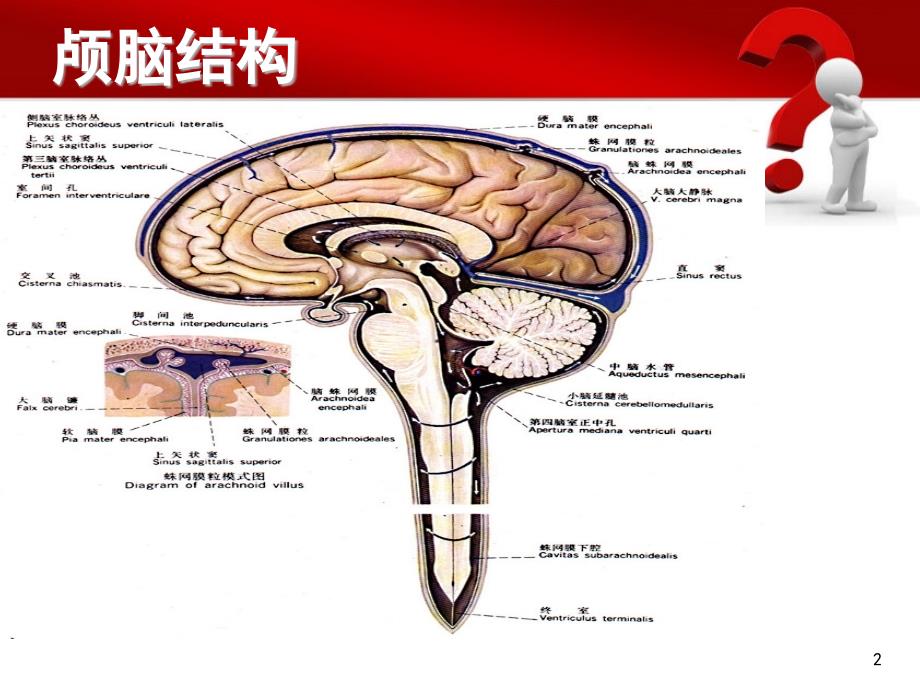 蛛网膜下腔出血的护理要点PPT演示课件_第2页