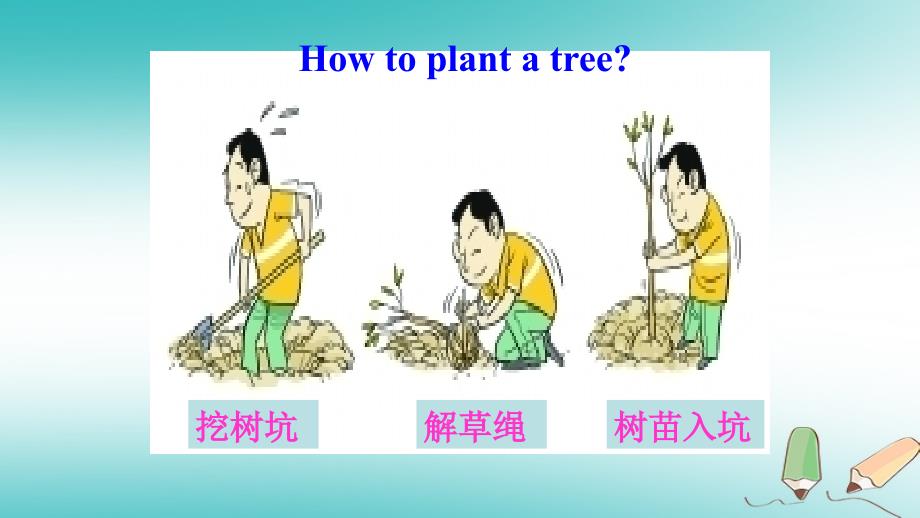 八年级英语下册 Unit 2 Plant a Plant Lesson 7 Stories about Spring （新版）冀教版_第4页