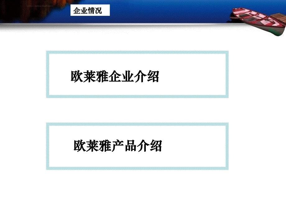 营销策划方案ppt作业巴黎欧莱雅课件_第5页