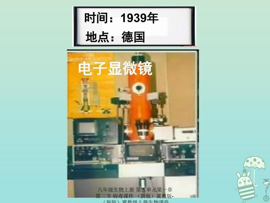 最新八年级生物上册第五单元第一章第二节病毒课件新版冀教版新版冀教级上册生物课件_第5页