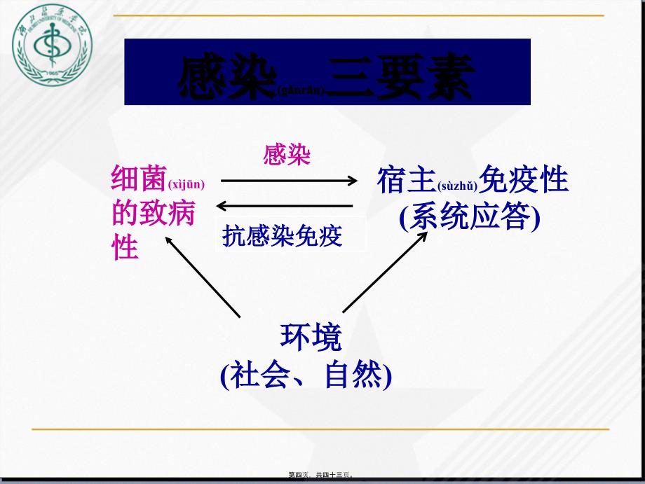 细菌的感染及免疫课件_第4页