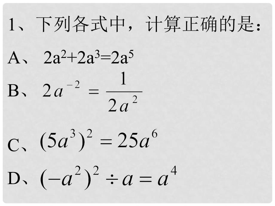 中考数学整式课件_第2页