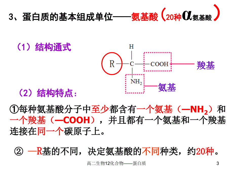 高二生物12化合物蛋白质课件_第3页