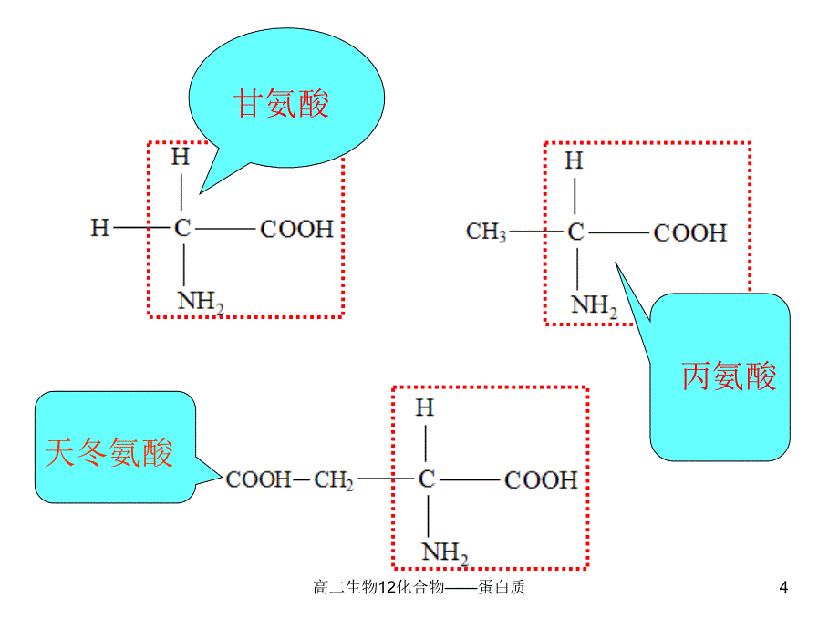 高二生物12化合物蛋白质课件_第4页