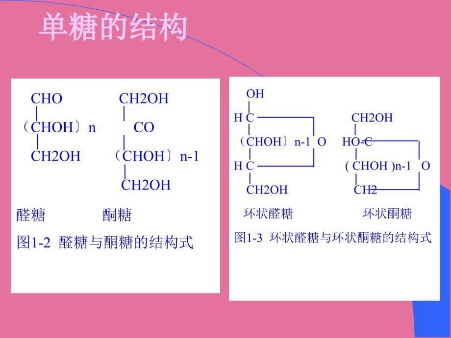 5碳水化合物营养ppt课件_第5页