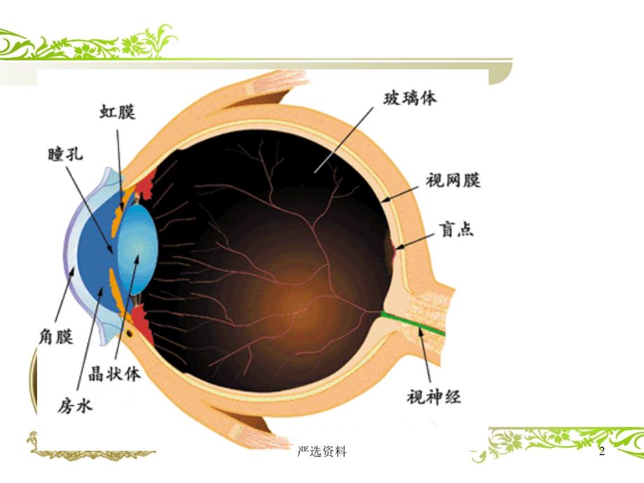 《白内障》培训ppt课件（行业荟萃）_第2页