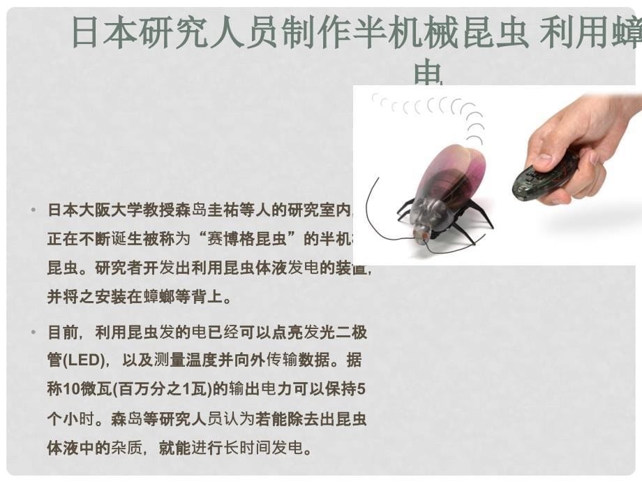 安徽省合肥市高中生物 第一章 走近细胞 第1节 从生物圈到细胞课件 新人教版必修1_第5页