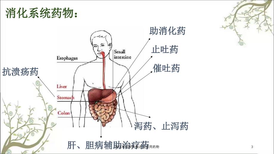 消化系统疾病概述及常用药物_第3页