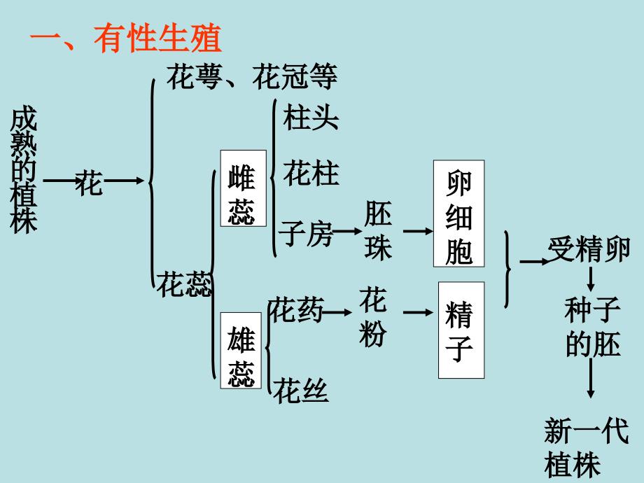 植物的生殖为您植物的生殖服务教育网1_第3页