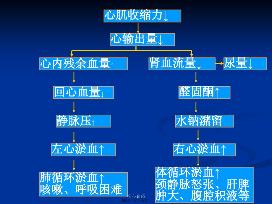 抗心衰药课件_第3页