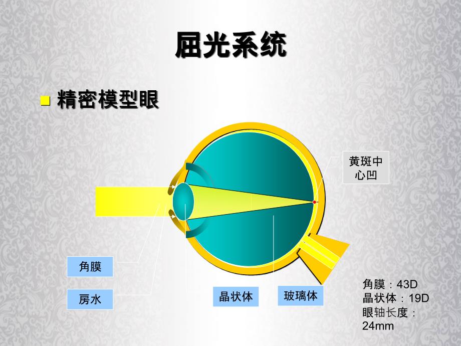 眼视光学检查和治疗_第4页