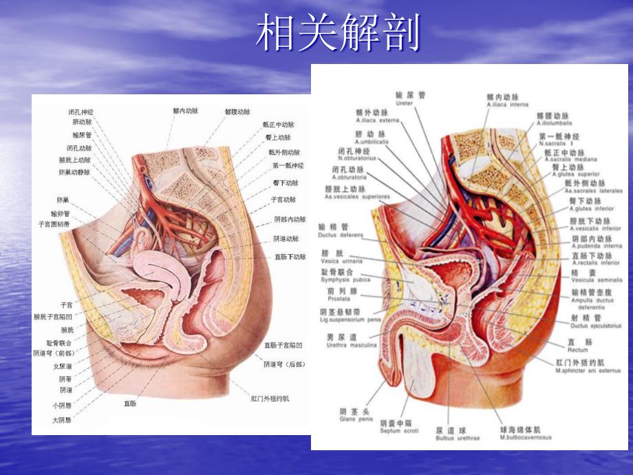 直肠癌手术配合_第3页