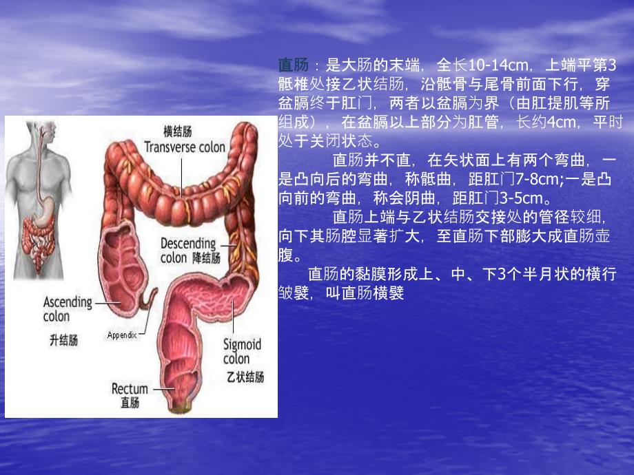 直肠癌手术配合_第4页