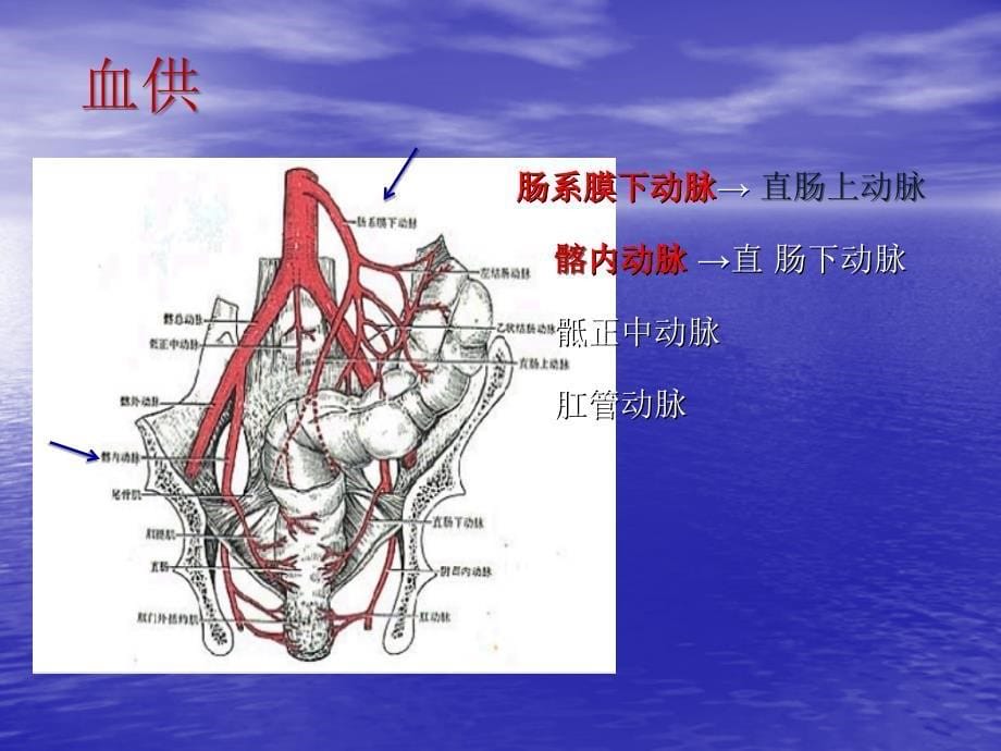 直肠癌手术配合_第5页