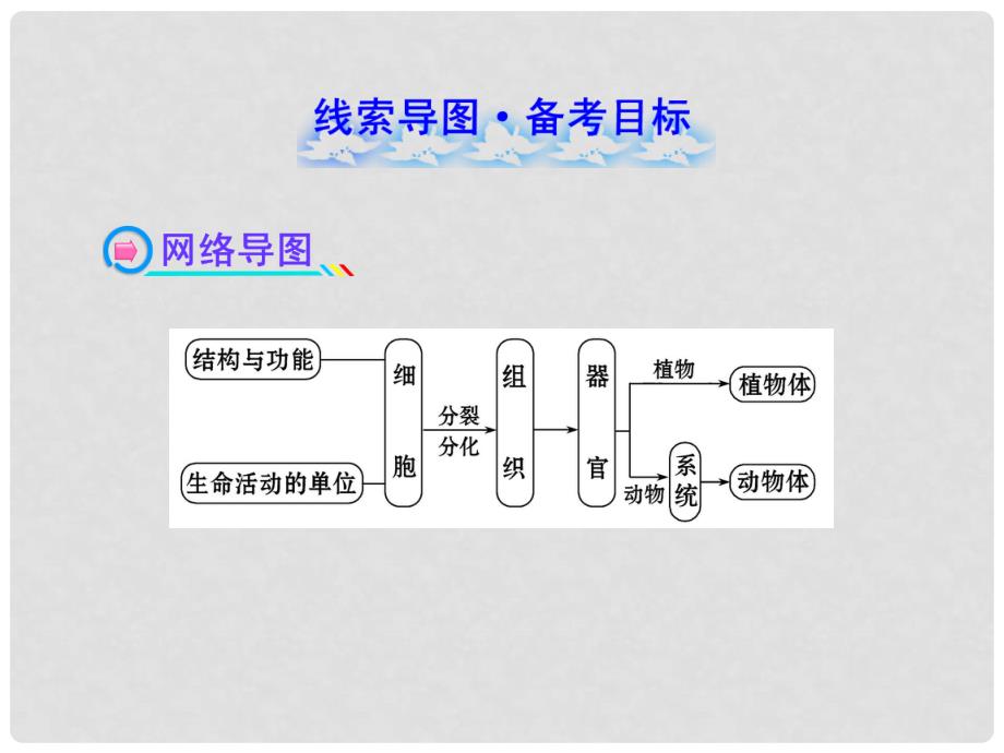 中考生物 第3、4章 细胞 生物体的结构层次配套课件 北师大版_第2页