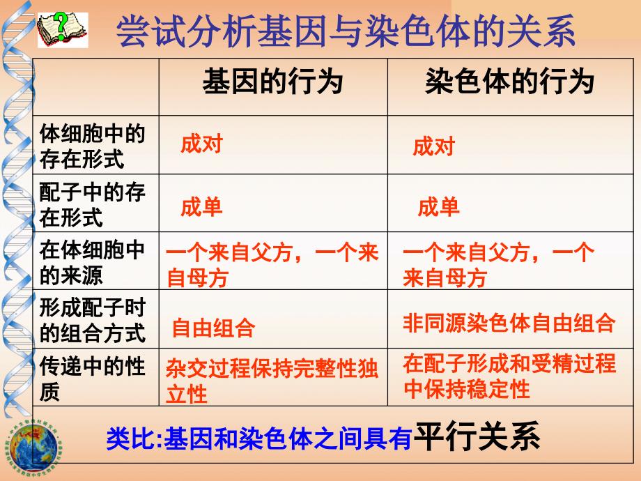 基因在染色体上.ppt_第4页