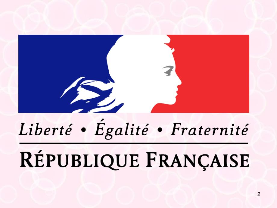 TheFrenchRevolution激烈的法国革命PPT课件_第2页