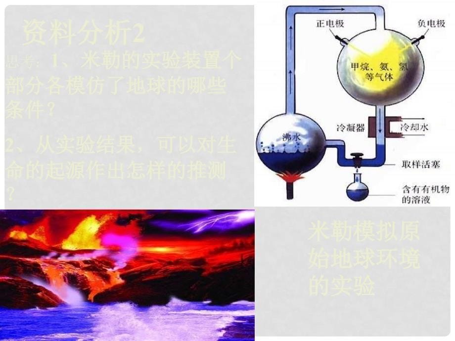 八年级生物生命的起源课件_第5页