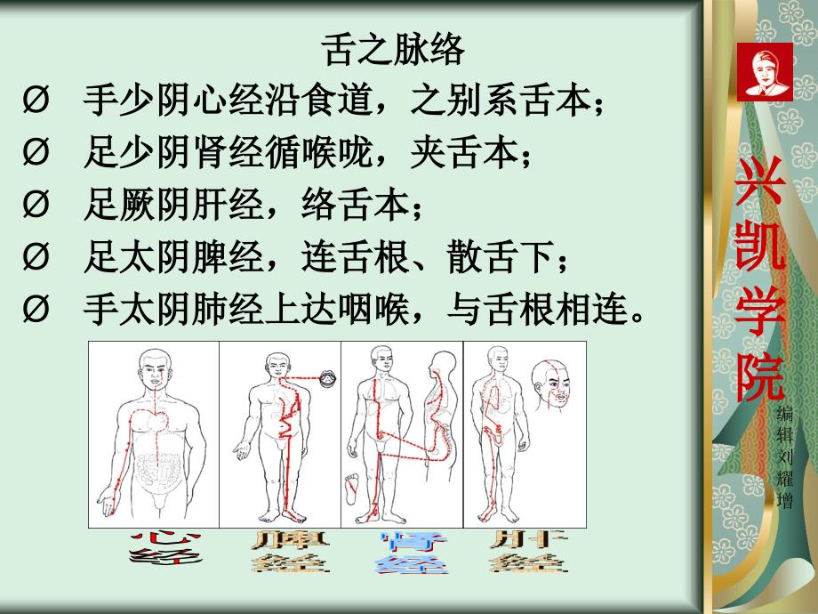 刘教授教你舌诊课件_第2页