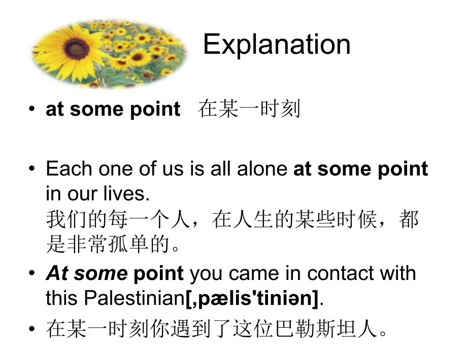 高级英语第六册《荨麻》.ppt_第4页