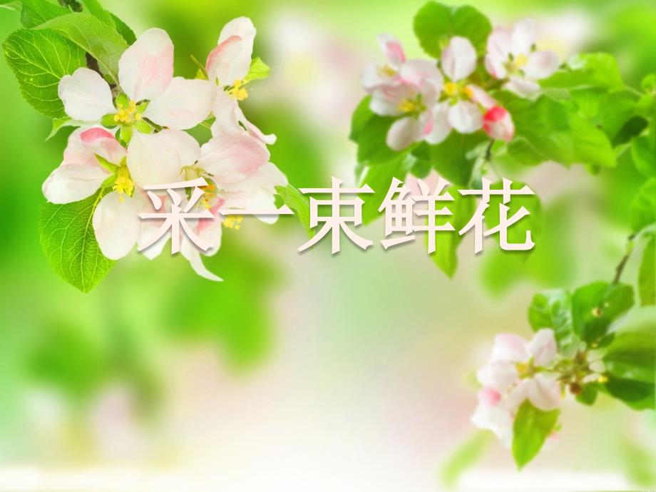 最新四年级上册音乐课件-第1课采一束鲜花-人音版(简谱)(2014秋)_第1页