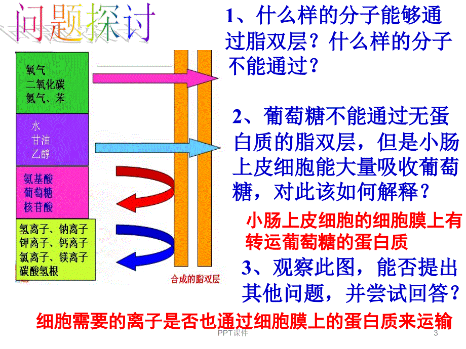 物质跨膜运输方式课件_第3页