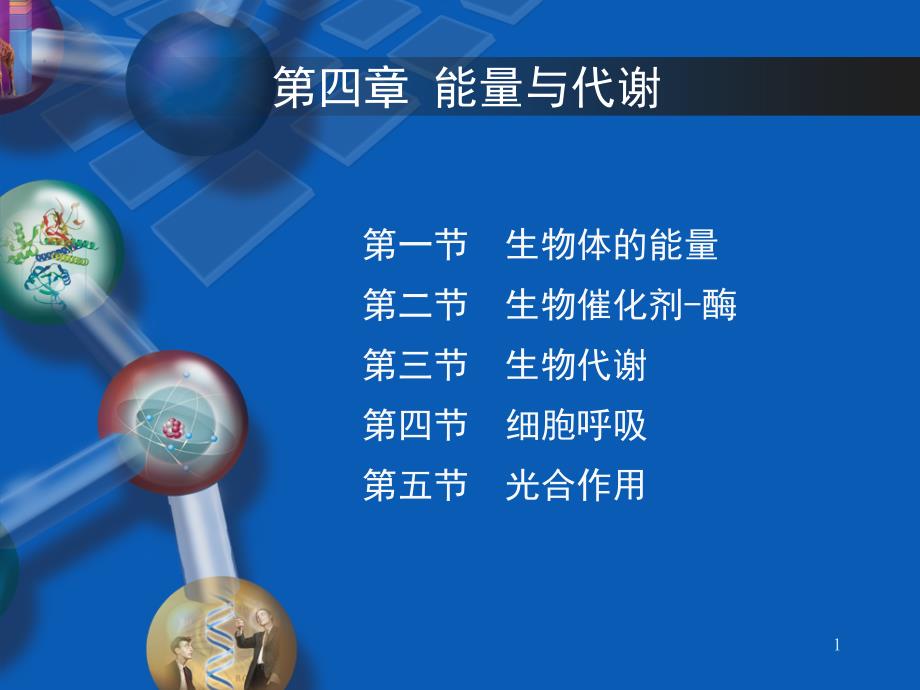 生命科学导论能量与代谢.PPT_第1页