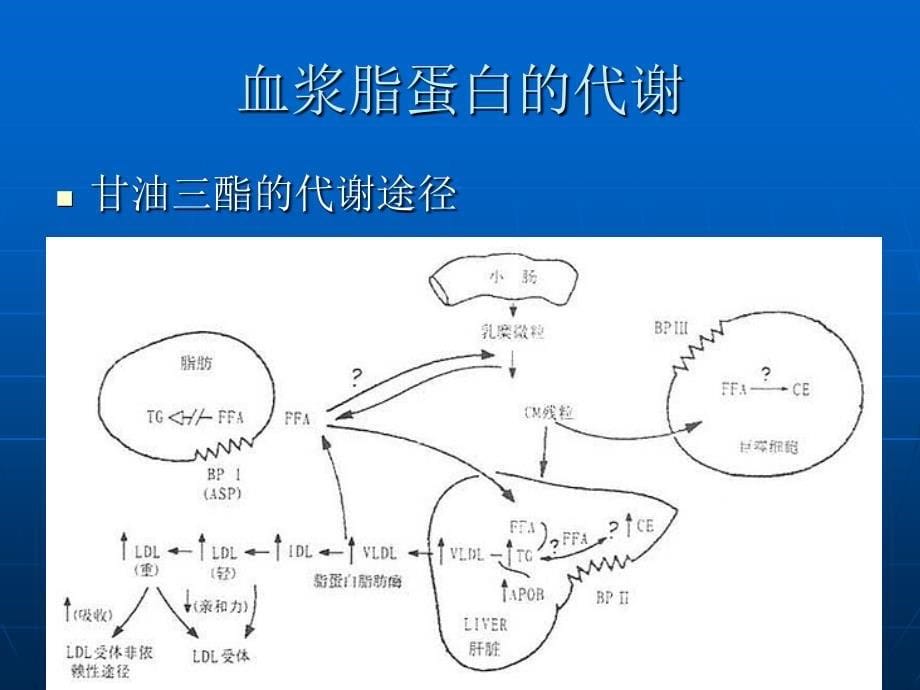 血脂检测方法及临床意义_第5页