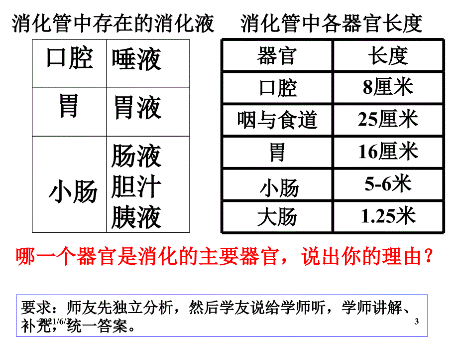 小肠是消化和吸收的主要器官PPT优秀课件_第3页