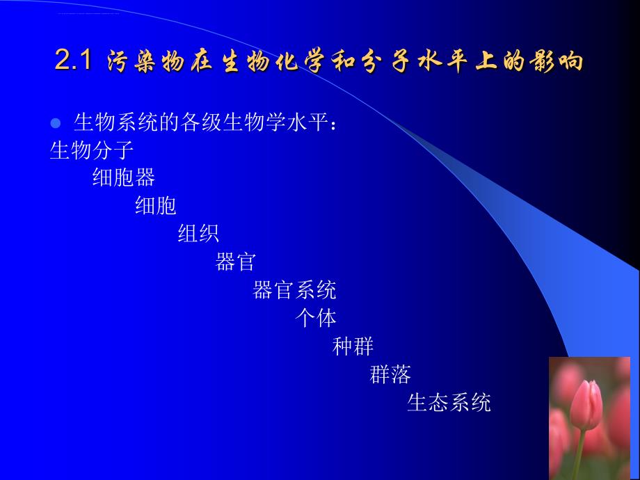 环境生物学-第二章-污染物对生物的影响ppt课件_第2页