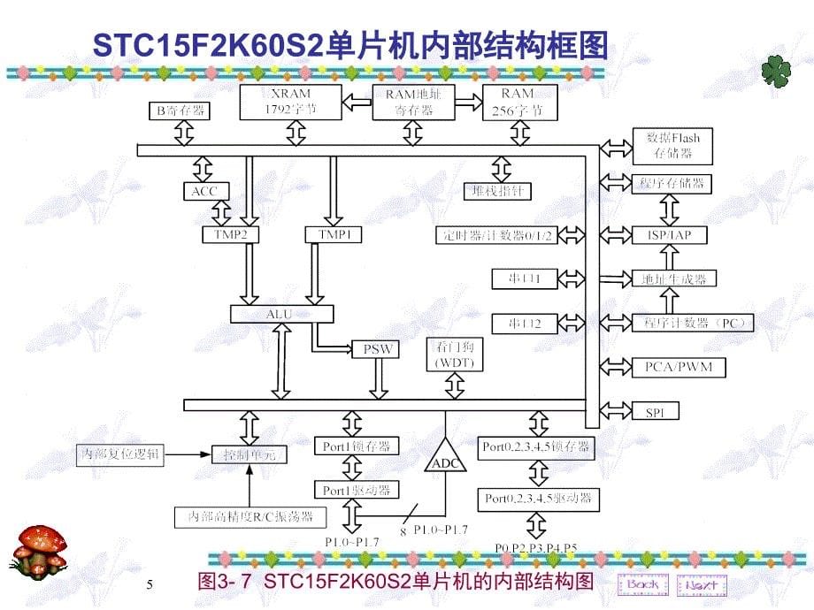 STC15F2K60S2单片机的基本结构_第5页