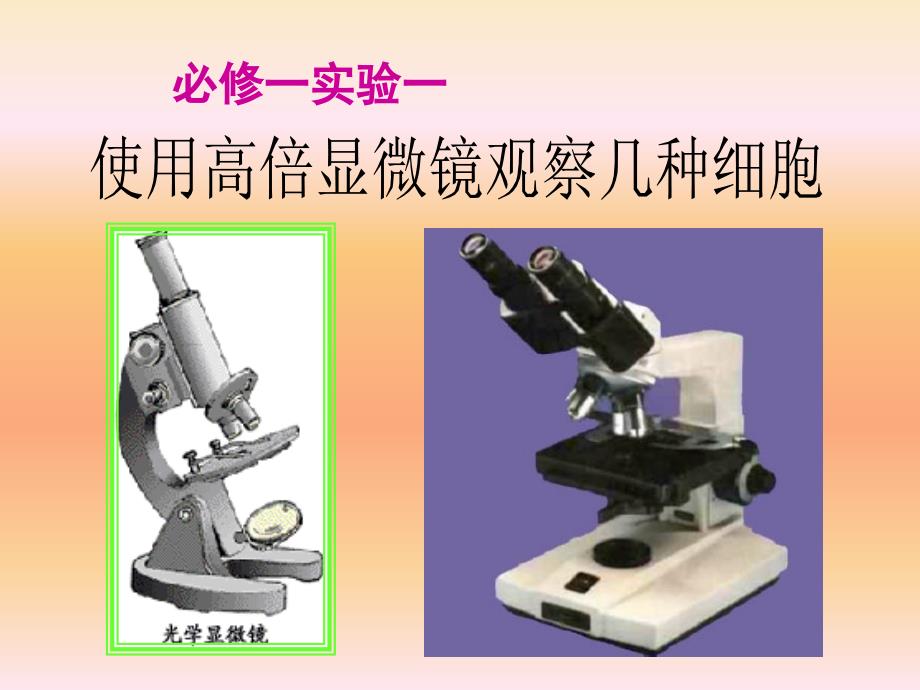 01使用高倍镜观察几种细胞_第1页