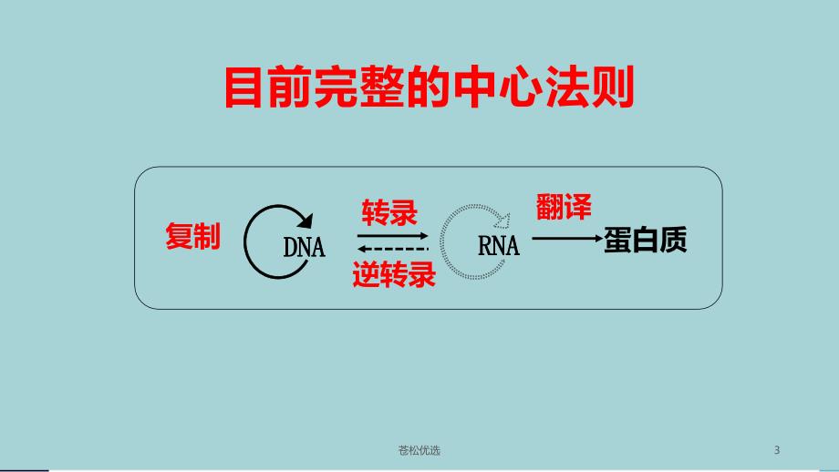 基因对性状的控制珍藏版基础教学_第3页