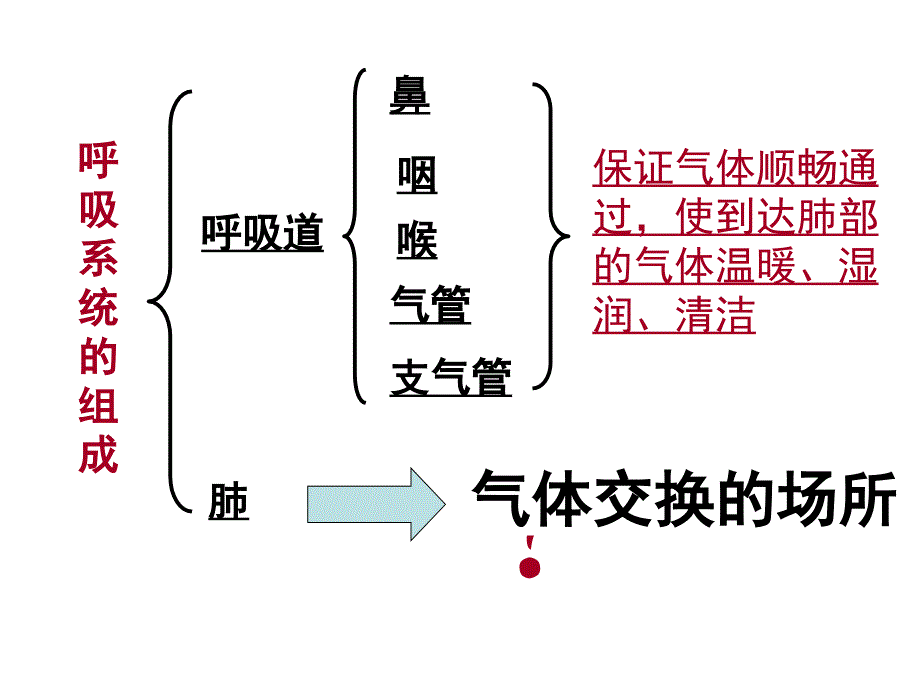 人教版生物七年级下册_第2页