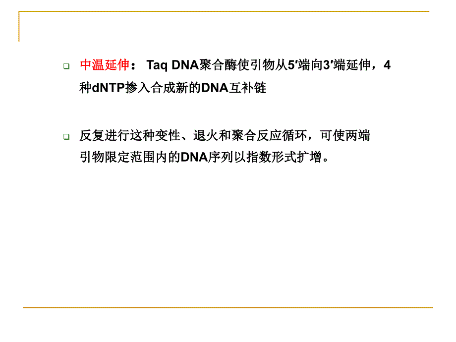 实验六 PCR反应_第4页