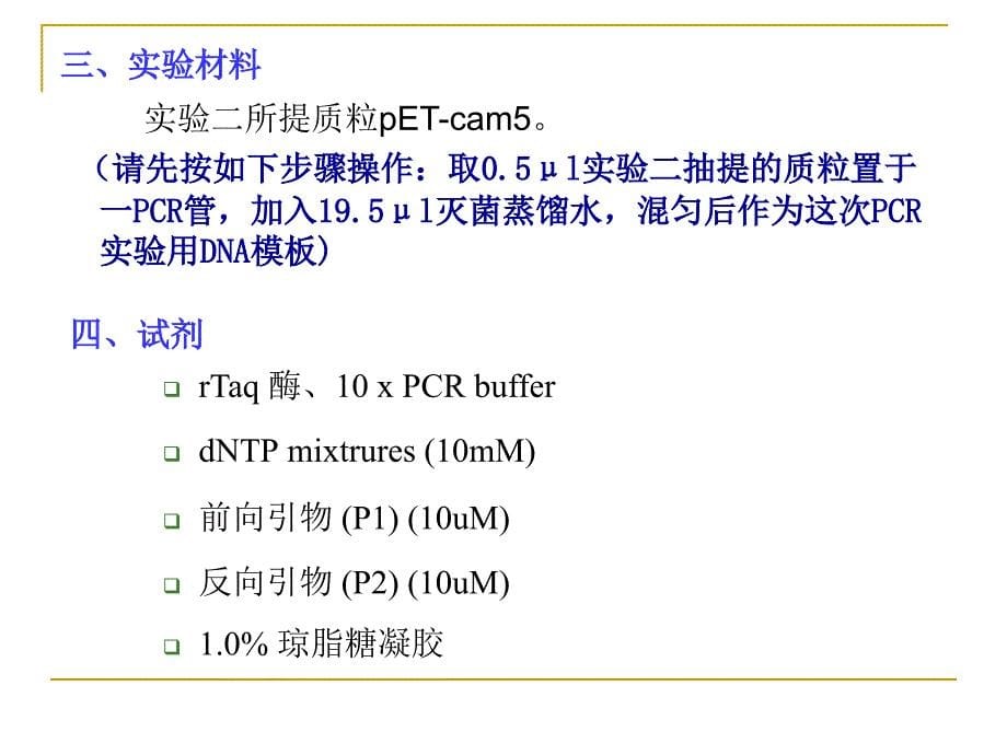 实验六 PCR反应_第5页