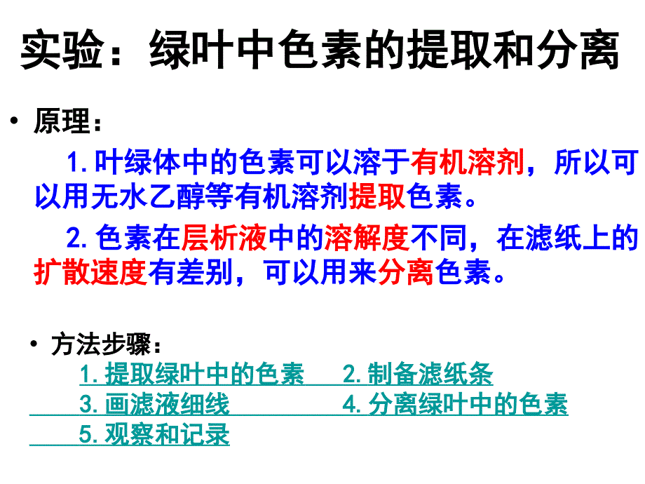 色素的提取和分离_第1页